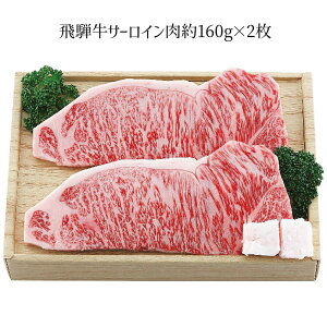 ˋ ˋT[CXe[Lp 160g×2 4268-038  T[Cyz /  ʔ v[g Mtg Ε  /