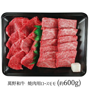 ݖa ēp[X 600g RSMY60-MAN 4279-017 yz /  ʔ v[g Mtg Ε  /