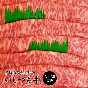 QYÂ II  јa T[C ĂZbg 500g A4-A5 yz / јa uh a Y  ʔ yY j v[g Mtg 