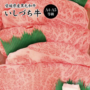 QYÂ II  јa [X ĂZbg 750g A4-A5 yz / јa uh a Y  ʔ yY j v[g Mtg Ε 