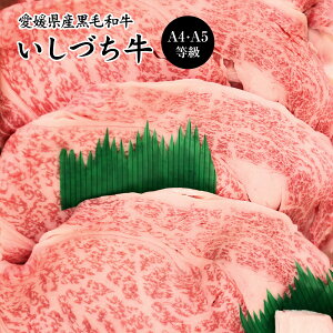 QYÂ II  јa u[X ԂԃZbg 650g A4-A5 yz / јa uh a Y  ʔ yY j v[g Mtg 