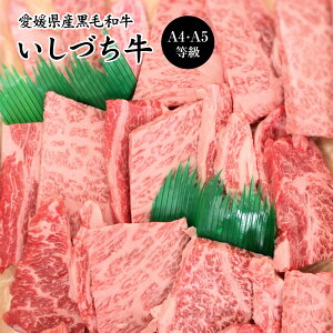 QYÂ II  јa [X ēZbg 750g A4-A5 yz / јa uh a Y  ʔ yY j v[g Mtg  /