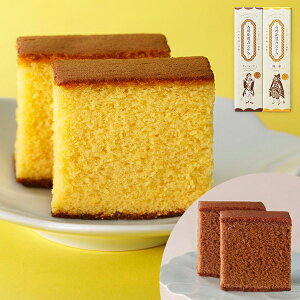 杉谷本舗 長崎街道カステラ詰合せB (蜂蜜風味・チョコ風味 各1本) 【送料無料】 常温 / 長崎 スイーツ 和菓子 お取り寄せ 通販 プレゼント ギフト お歳暮 おすすめ /