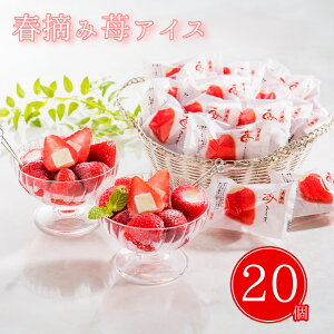 tE䕃ACX 20 AH-HAW XC[c ACXN[yzy͂snFsz /  ʔ v[g Mtg Ε  /