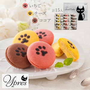 C[y̔LՂ ThNbL[ YJ-CB XC[c NbL[Th ĉَqyz /  ʔ v[g Mtg Ε  /