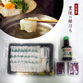 豊後の姫はも しゃぶしゃぶセット 【送料無料】 / はも 鱧 ハモ 魚 魚介 しゃぶしゃぶ 鍋 はもしゃぶ 鱧しゃぶ お取り寄せ 通販 プレゼント ギフト 父の日 おすすめ /