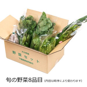 _ {̖8i yz / 啪 { ₳  ܂ lߍ킹  ʔ yY j v[g Mtg Ε  /