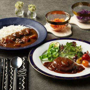 神奈川 横浜ロイヤルパークホテル 監修 カレー&ハンバーグセット 計12 【送料無料】 / お取り寄せ 通販 プレゼント ギフト お歳暮 おすすめ /