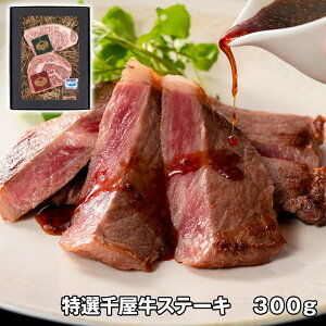 I牮Xe[L 300g yz /  ʔ v[g Mtg Ε  /