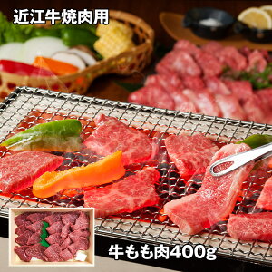 ߍ]ēp 400g yz /  ʔ v[g Mtg  /