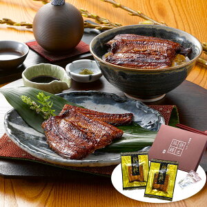 ÉYȂ ÐV 2 ay Ăyz /  ʔ v[g Mtg Ε  /