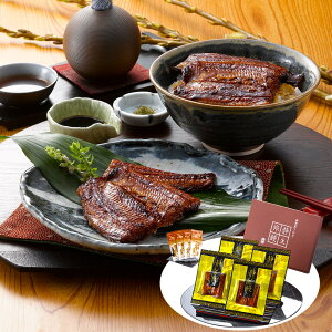 ÉYȂ ÐV 傤} 4 ay Ăyz /  ʔ v[g Mtg Ε  /