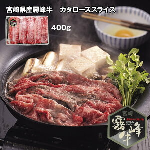 {茧Y J^[XXCX 400g yz /  ʔ v[g Mtg  /