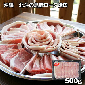  kl̓؃[Xē 500g ؓyz /  ʔ v[g Mtg Ε  /