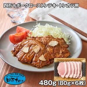 l\|[N[XgeLEgJcp 6 ؓyz /  ʔ v[g Mtg  /