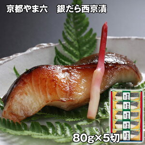 sܘZ ₾琼 5  y؁yz /  ʔ v[g Mtg Ε  /