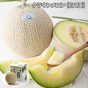 NE 1 ʔN t[c ʕyz /  ʔ v[g Mtg  /
