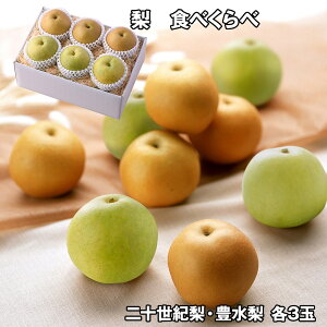  Hׂ \I L 2×e3 t[c ʕyz /  ʔ v[g Mtg hV̓  /