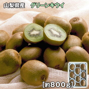 RY O[LEC 800g t[c ʕyz /  ʔ v[g Mtg Ε  /