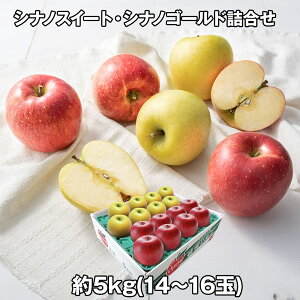 VimXC[gEVimS[hl t[c ʕyz /  ʔ v[g Mtg  /