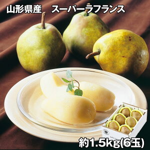 R`Y X[p[tX 1.5kg t[c ʕyz /  ʔ v[g Mtg  /