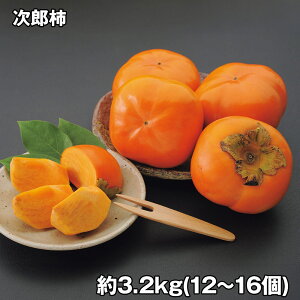 Y` 3.2kg t[c ʕyz /  ʔ v[g Mtg  /