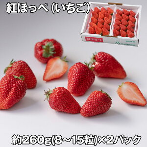 gق؂ 2P t[c ʕyz /  ʔ v[g Mtg Ε  /