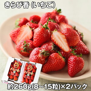 ҍ 2P t[c ʕyz /  ʔ v[g Mtg Ε  /