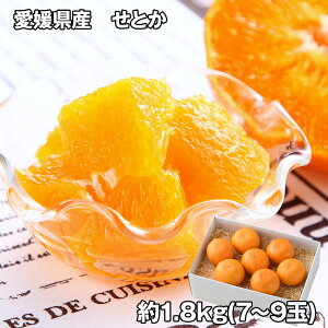 QY Ƃ 1.8kg t[c ʕyz /  ʔ v[g Mtg Ε  /