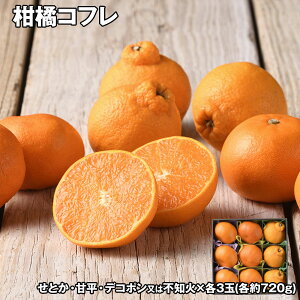 kRt t[c ʕyz /  ʔ v[g Mtg Ε  /