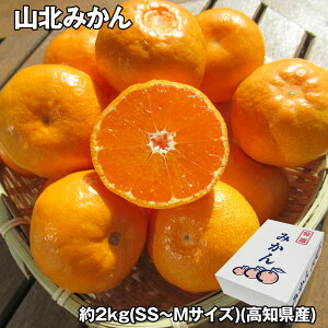 山北みかん 約2kg(SS〜Mサイズ) フルーツ 果物【送料無料】 / お取り寄せ 通販 プレゼント ギフト お歳暮 おすすめ /