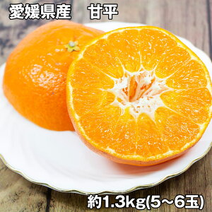 QY Õ 1.3kg t[c ʕyz /  ʔ v[g Mtg Ε  /