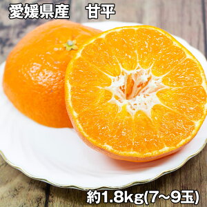 QY Õ 1.8kg t[c ʕyz /  ʔ v[g Mtg Ε  /