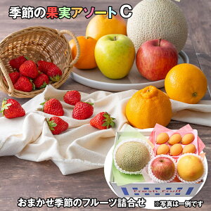 G߂̉ʎA\[g C t[c ʕyz /  ʔ v[g Mtg Ε  /