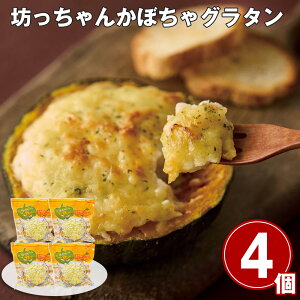 Ε 2025 Ε  P10{ Ŗ{ih V񂩂ڂO^ 230g×4 my؁yz_502 /  ʔ v[g Mtg Ε  /