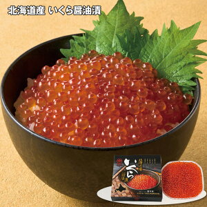 Ε 2025 Ε  P10{ kCY ݖ 180g yz_519 /  ʔ v[g Mtg Ε  /