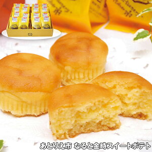 Ε 2025 Ε  P5{ Ƃ肦s ȂƋXC[g|eg 16 XC[c mَqyz_557 /  ʔ v[g Mtg Ε  /