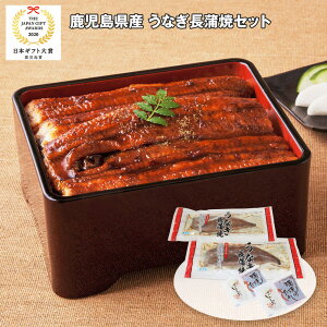 Ε 2025 Ε  P5{ Y ȂăZbg Vyz_562 /  ʔ v[g Mtg Ε  /