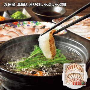 Ε 2025 Ε  P5{ BY ^ƂԂ̂Ԃԓ Zbgyz_624 /  ʔ v[g Mtg Ε  /