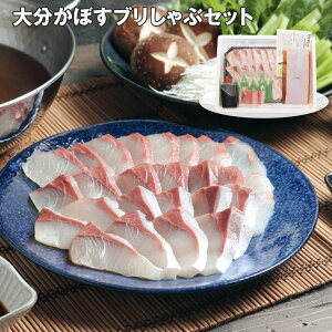 Ε 2025 Ε  P10{ 啪ڂuԃZbg  Ԃyz_625 /  ʔ v[g Mtg Ε  /