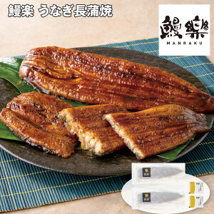 Ε 2025 Ε  P5{ Vy Ȃ Vyz_641 /  ʔ v[g Mtg Ε  /