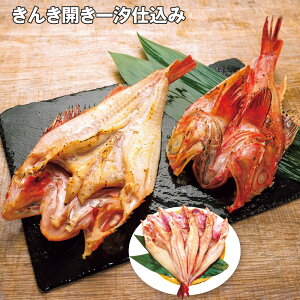 Ε 2025 Ε  P5{ 񂫊Jꎬd 4 yz_654 /  ʔ v[g Mtg Ε  /