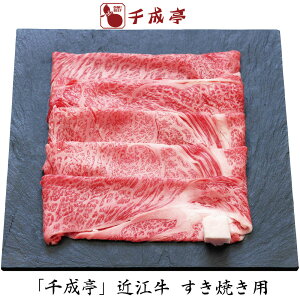 Ε 2025 Ε  P5{ 琬 ߍ] Ăp 500g yz_667 /  ʔ v[g Mtg Ε  /