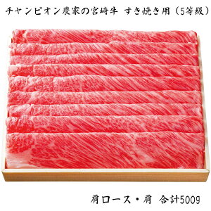 Ε 2025 Ε  P10{ `sI_Ƃ̋{苍 Ăp 5 500g yz_669 /  ʔ v[g Mtg Ε  /