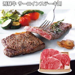 Ε 2025 Ε  P5{ ˋ T[CXe[Lp 150g×3 yz_675 /  ʔ v[g Mtg Ε  /