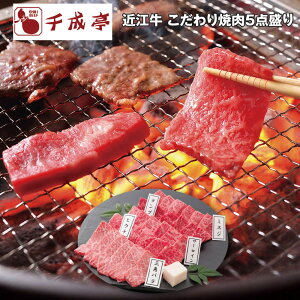 Ε 2025 Ε  P5{ 琬 ߍ] ē5_ e100g yz_676 /  ʔ v[g Mtg Ε  /