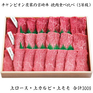 Ε 2025 Ε  P5{ `sI_Ƃ̋{苍 ēHה 5 300g yz_683 /  ʔ v[g Mtg Ε  /