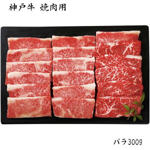 Ε 2025 Ε  P10{ _ˋ ēp 300g yz_684 /  ʔ v[g Mtg Ε  /