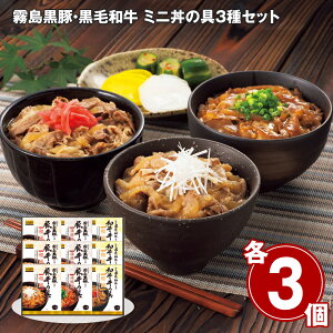 Ε 2025 Ε ؁Eјa ~j̋3Zbg ay؁yz_748 /  ʔ v[g Mtg Ε  /