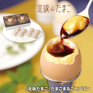 Ε 2025 Ε  P5{ k₽܂ ܂܂邲ƃv XC[c mَqyz_887 /  ʔ v[g Mtg Ε  /